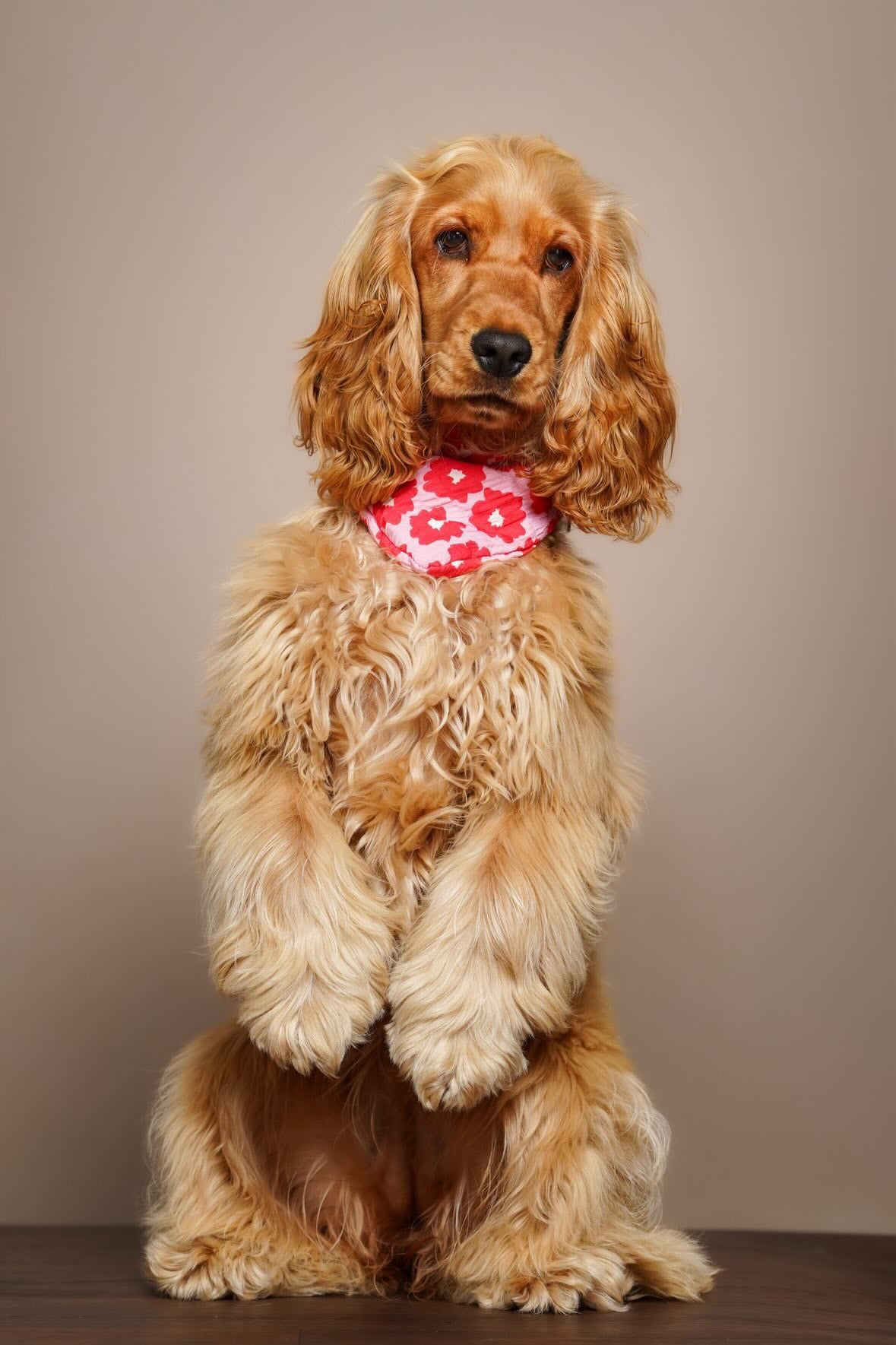 Bandana Vic