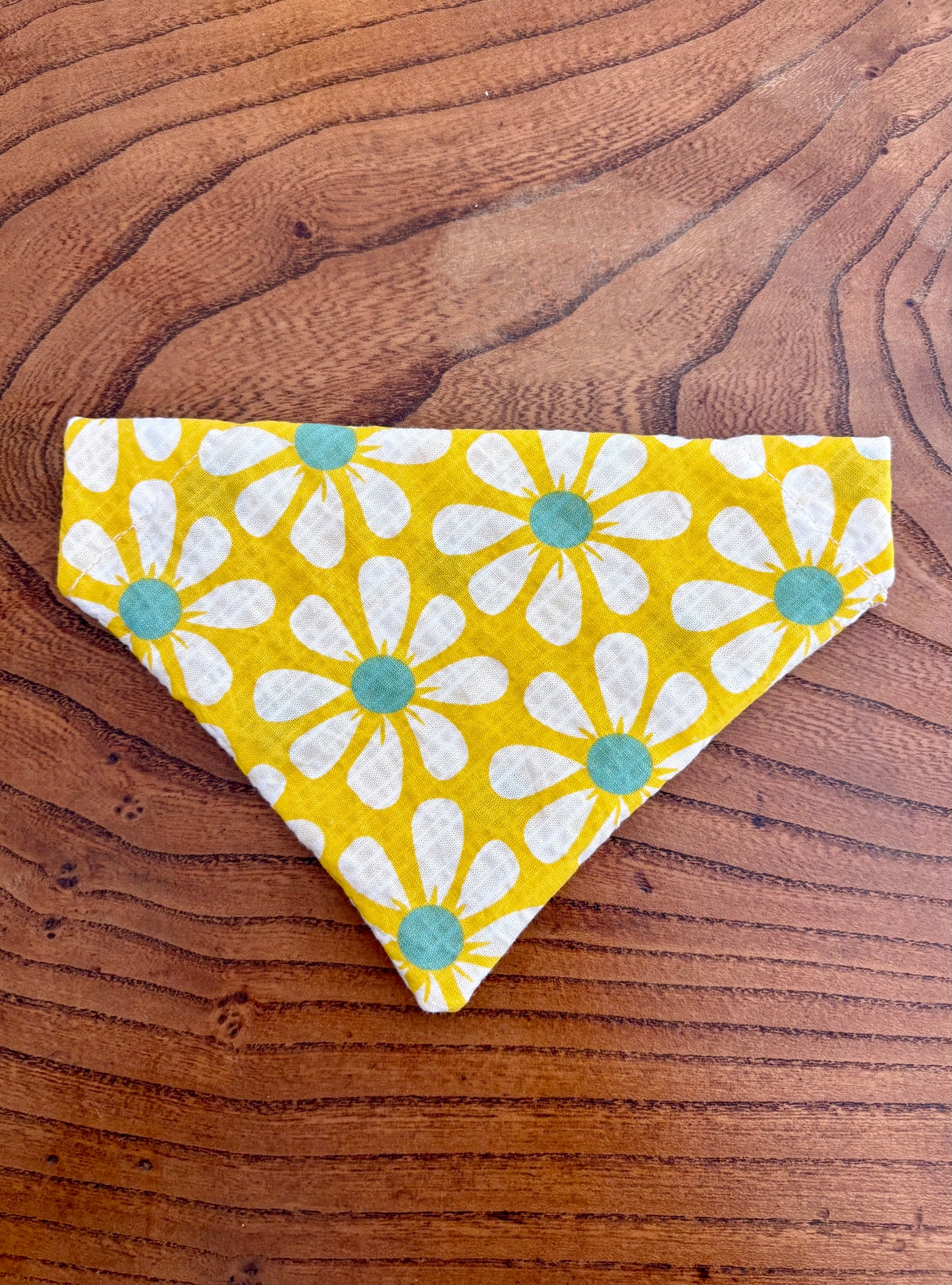 Bandana Fanny