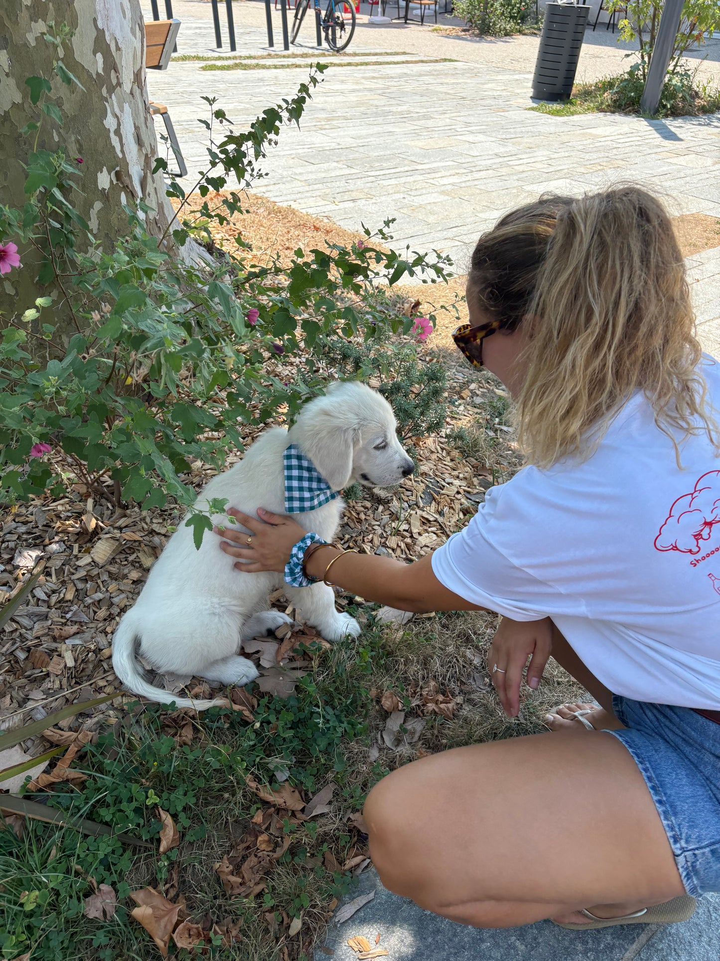 Matchy matchy Rio
