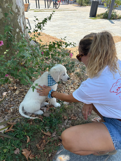 Matchy matchy Rio