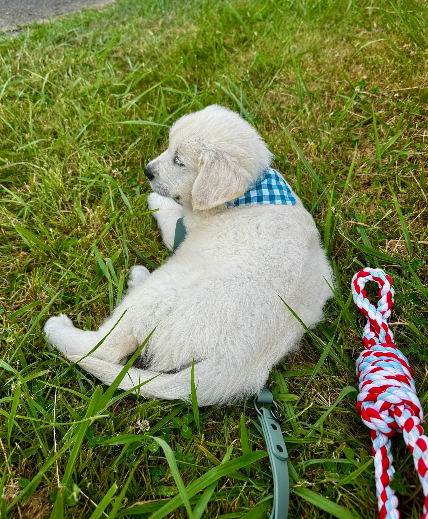 Bandana Rio