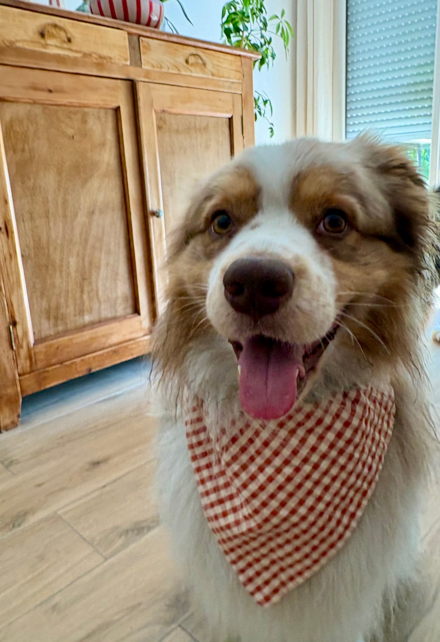 Bandana Vicky