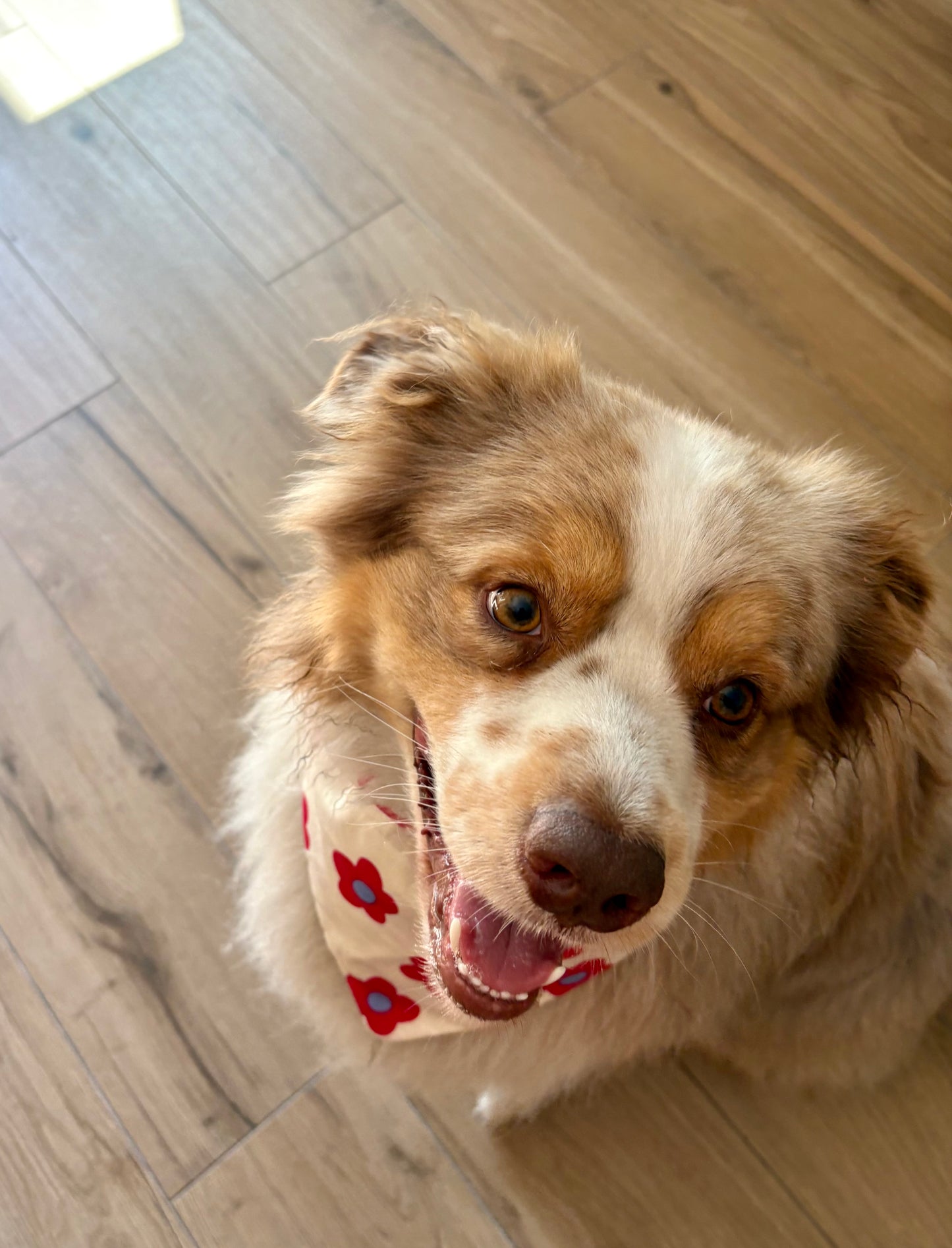 Bandana Margot