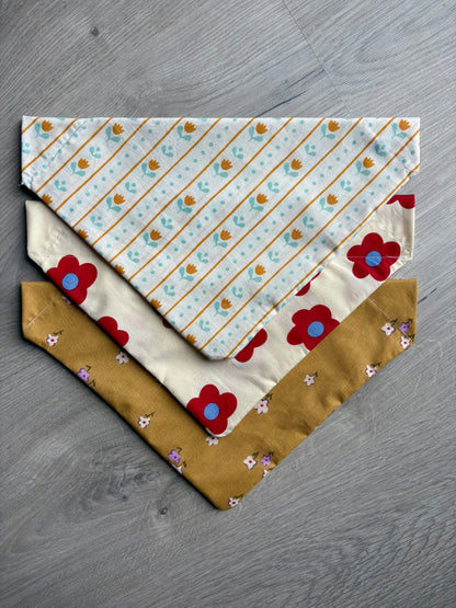Nos bandanas pour vos compagnons à quatre pattes 🐾
